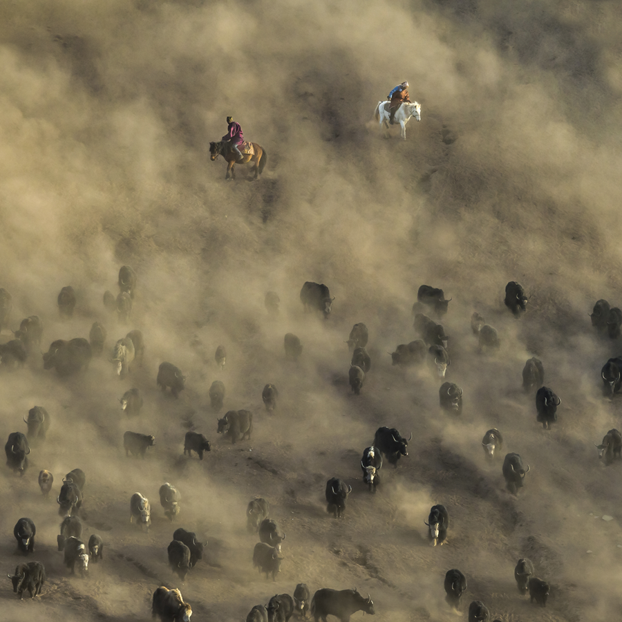 “雪山大地·影像季”參賽作品展（十九）