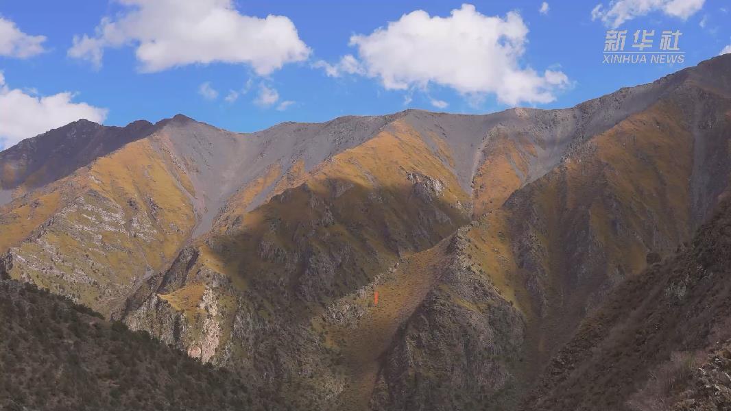 4362張照片！他們?cè)谶@里堅(jiān)持10年開展雪豹種群動(dòng)態(tài)研究