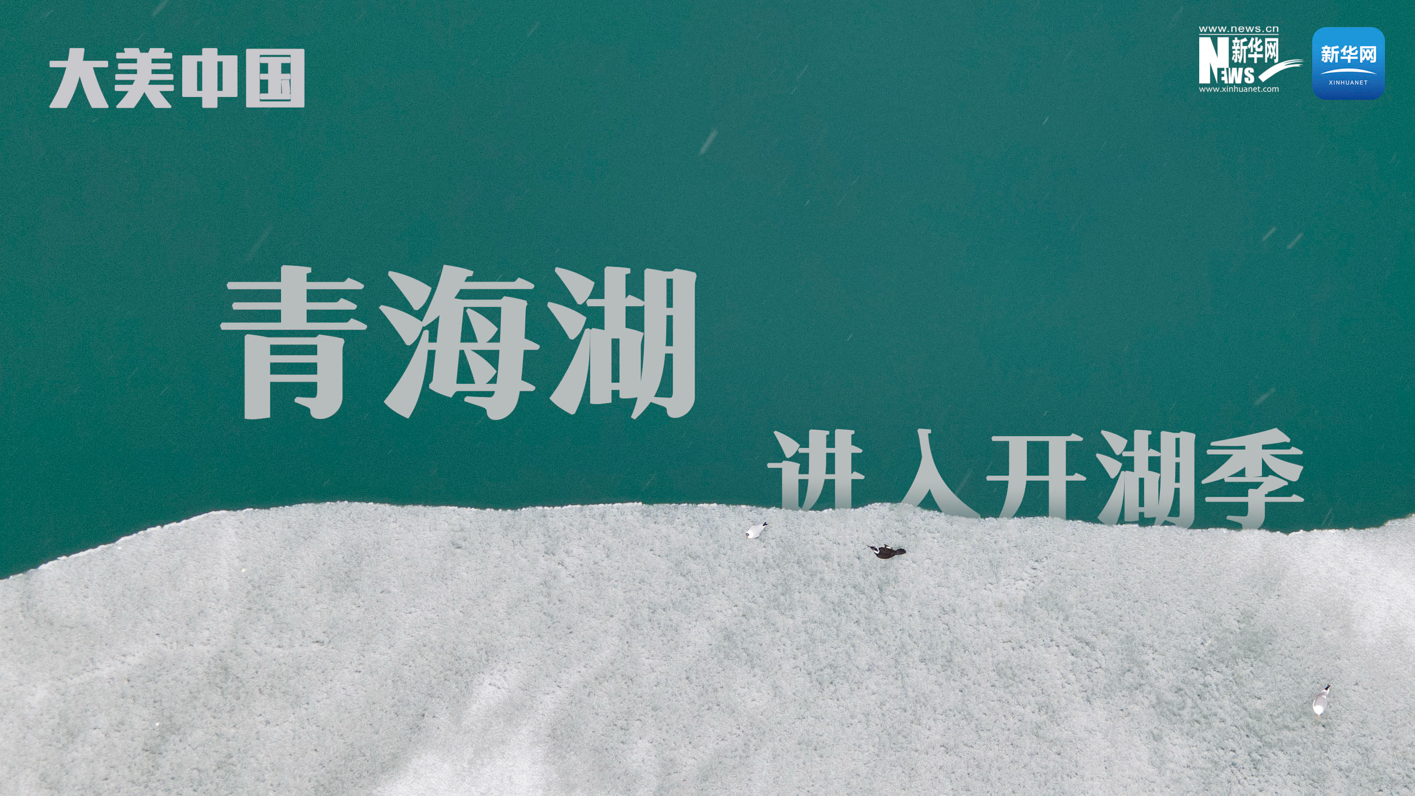 大美中國丨青海湖進(jìn)入&ldquo;開湖季&rdquo;